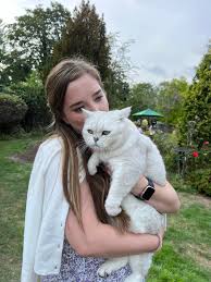Hi I'm thinking of getting a British shorthair kitten in the new ...