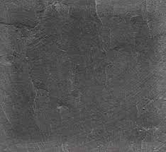 Kreuzkröten, Kammmolche und Insekten