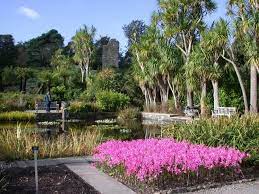 Image Result For Garden Centre Near Image Result For Garden Centre Near Image Result For Garden Centre Botanic Gardens Edinburgh Garden Center Family Garden