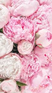 50 Beautiful Flower Wallpapers For Iphone Free Download In 2020 Pink Flowers Wallpaper Flower Iphone Wallpaper Peony Wallpaper