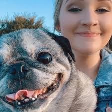 2023 Paws in the Park