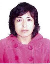 Directorio de Recursos Humanos afines a la CTI