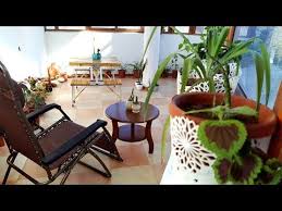 جولة في شرفة بلكونة منزلي تنظيف ترتيب غرس و تزيين بالورود و النباتات Youtube Plants Planter Pots Planters