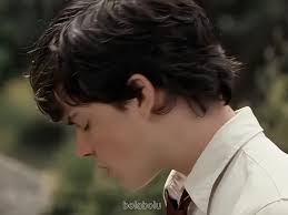 Exploring Edmund Pevensie's Character in Narnia