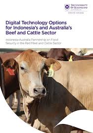55 templat muka depan fail 55 templat muka depan fail merupakan artikel ulangsiar. Digital Technology Options For Indonesia S And Australia S Beef And Cattle Sector