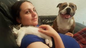 New to the group😅 thought I'd show my little fur baby's 🐶