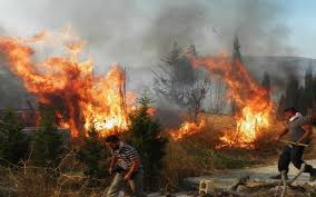 Μεγάλη αναζωπύρωση έγινε πριν από λίγο στην πυρκαγιά της βαρυμπόμπης και συγκεκριμένα όπως έγινε γνωστό από την πυροσβεστική, στο ρεύμα της χελιδονούς κοντά στον οικισμό αδάνες. Anazwpyrwsh Sta Ky8hra