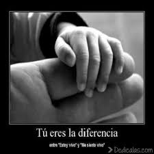 Para Que El Amor Fraterno Sea Realmente Verdadero Debe Ser Tal Imagenes Con Frases De Amor Fraternal Frases De Amor Fraternal Frases Bonitas Vida De Mama