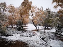 Spaniard marc soler was the defending champion. Actualites Meteo A Quand La Premiere Offensive Hivernale En France 11 11 2020