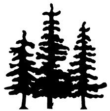 403 Forbidden Pine Tree Silhouette Silhouette Drawing Tree Silhouette
