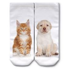 Ogobongo Digital Baskili Patik Corap Kedi Ve Kopek Kedi Kopek Corap