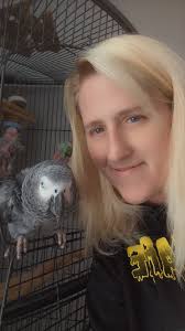 African Grey Parrots