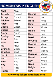 Homonyms Definition And Examples English Grammar Here In 2020 Homonyms English Words English Writing Skills