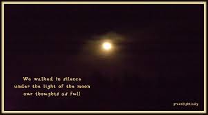 Full Moon Haiku Haiku Haiku Poetry Light Quotes