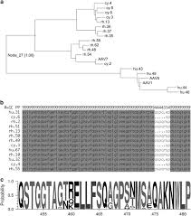 Image result for White 1995 AAV