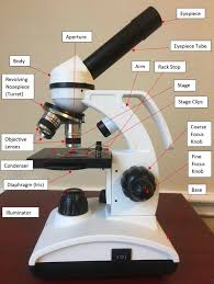 An example at different settings are below: 16 Parts Of A Compound Microscope Diagrams And Video Microscope Clarity