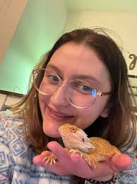 Bearded dragon needs new home in Wisconsin