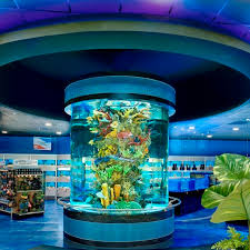 Check spelling or type a new query. Acrylic For Fish Tank High Grade Aquatic Aquariums Uc Acrylic