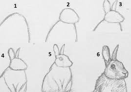 Draw a butterfly using more simple shapes and patterns. Drawing Animals How To Draw A Rabbit Occultis Studiis S Artistic Blog