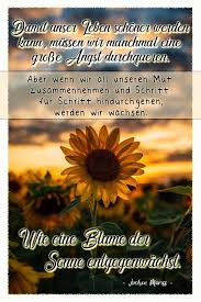 Pin Auf Zitate Weisheiten Sinnspruche