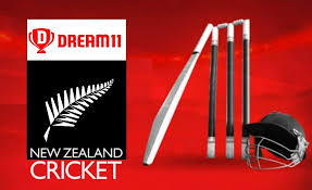 What does a dietitian and nutritionist do? India S Fantasy Sports Platform Dream11 Signs Up With Nz Cricket For Another Six Years Www Indianweekender Co Nz