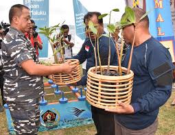 Check spelling or type a new query. Lantamal Ix Kembali Tanam Terumbu Karang Dan Rehabilitasi Mangrove Website Lantamal Ix Berita