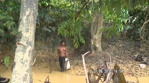 Sering sekali ikan ingi digambarkan sebagai ikan yang paling mengerikan ikan ini terkenal sebagai ikan tawar yang sangat agresif dan mirip dengan vampir. Joseph Cupertino Dok Menuba Ikan Youtube