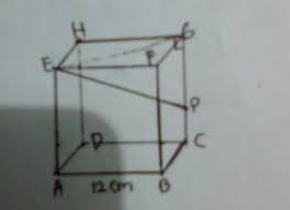3 Kubus Abcd Efgh Mempunyai Panjang Rusuk 12cm Titik P Terletak Pada Rusuk Cg Dengan Perbandingan Brainly Co Id