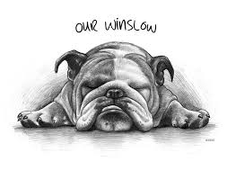 The thing about drawing with pencils is that we learned to draw using them in the first place and this is probably why the charm of pencil drawings somehow does not seem to fade. Pet Sketch Dog Sketch Hand Drawn From A Photo By Talented Artists