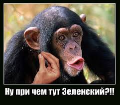 Некоторые просто врут президенту прямо в глаза: переписка главы комитета по нацбезопасности Завитневича с помощницей Зеленского - Цензор.НЕТ 2289