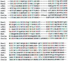 The sdk contains header files, type libraries, simple utilities, sample code, and documentation. The Bah Domain Polybromo And The Rsc Chromatin Remodelling Complex Sciencedirect