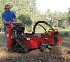 From planning and advising to the finished project, we are able to support all aspects of stump removal. Stump Grinding Wesley Chapel Tree Stump Removal