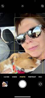 Our little Keo disapproves taking selfies 🙄🤣