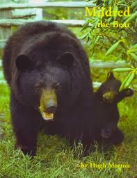 The Adorable North Carolina Story Of Mildred The Bear
