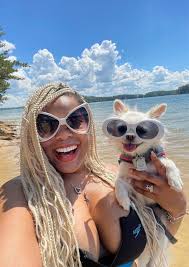 Celebrating international mountain day with dogs