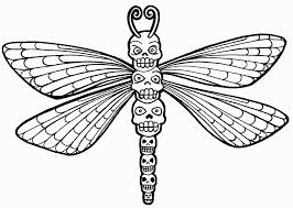 Free pdf dragon fly coloring pages. Dragonfly Coloring Pages For Kids Coloring Home