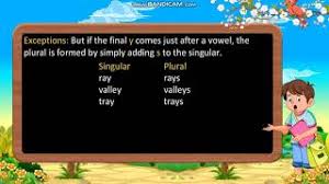 Usually add the letter s to the end of a singular noun to make it plural. Class 4 Singular And Plural Nouns Youtube