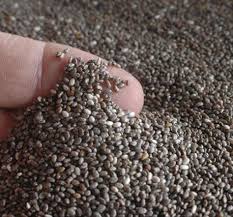 Utilisation Intelligente Recette Des Graines De Chia Graines De Chia Graine De Chia Recette Chia