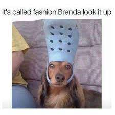 It S Called Fashion Brenda Media 104