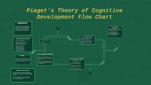 piaget 039 s theory of cognitive development flow chart by