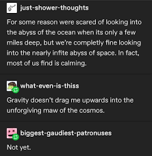 2021 Has Entered The Chat Funny Quotes Humor Tumblr Funny