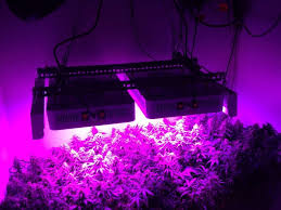 Galaxyhydro led grow light 300w. Led Grow Light Reviews Teaching Resources