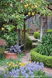 Pin By Clayton Kathy On Garden Rooms And Porches Beautiful Gardens Garden Inspiration Cottage Garden