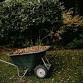 Rethinking the Fall Garden Cleanup: Ashley Gamell event image