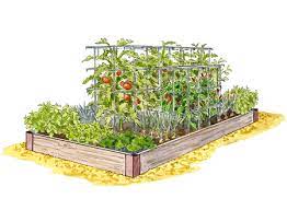Sites Gardeners Site Vegetable Garden Planner Garden Layout Vegetable Garden Layout