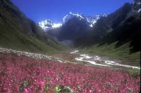 The valley of flowers is situated in the west himalayas in the state of uttarakhand.this indian national park is part of the unesco world network of biosphere reserve, encompassed in the nanda devi biosphere reserve. Valley Of Flowers India Heritage Sites