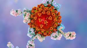 Previous marburg virus outbreaks have seen fatality rates of up to 88 per cent. Que Es El Virus De Marburgo Y Como Se Transmite