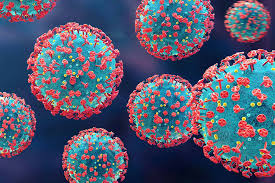 Image result for Virus