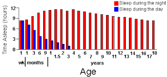 Neuroscience For Kids Sleep