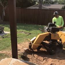 Maybe you would like to learn more about one of these? The 10 Best Stump Grinding Services In Fort Worth Tx 2021